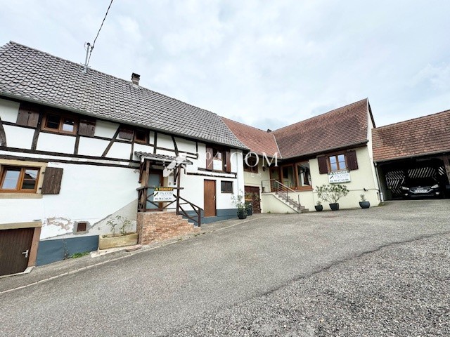 Vente Maison à Hochfelden 9 pièces