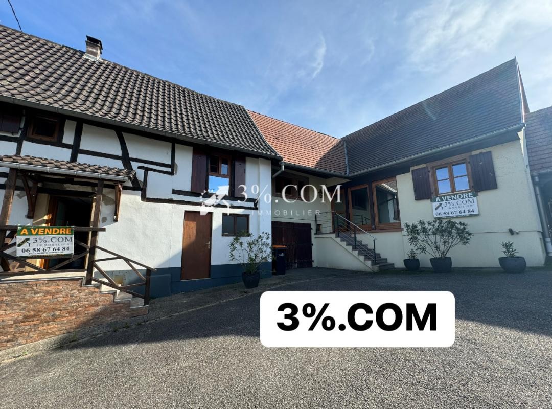 Vente Maison à Hochfelden 9 pièces