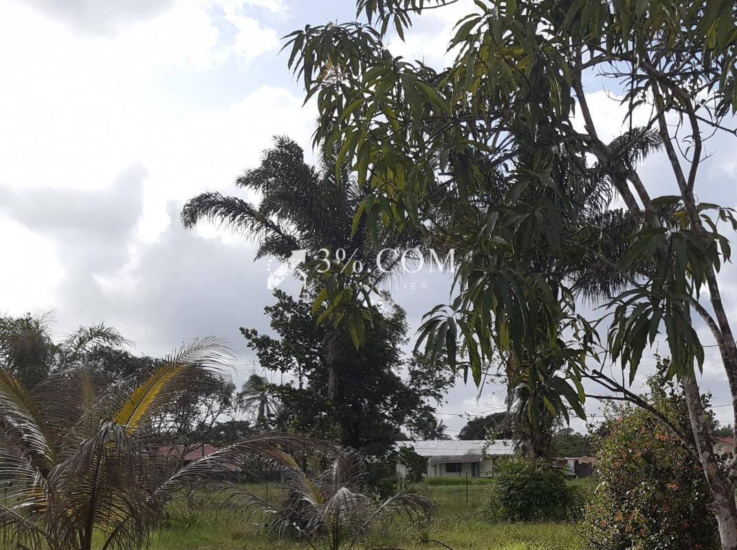 Vente Terrain à Montsinéry-Tonnegrande 0 pièce