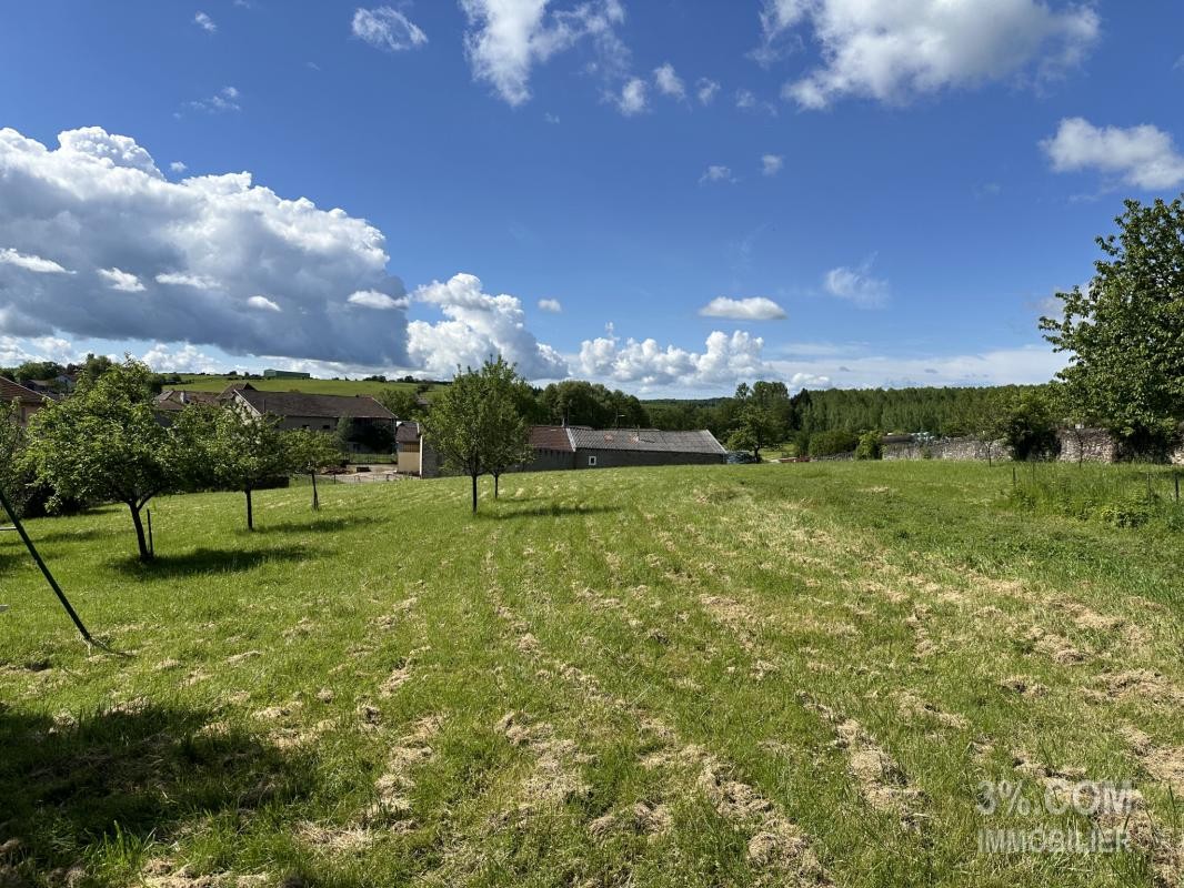 Vente Maison à Ville-sur-Illon 6 pièces