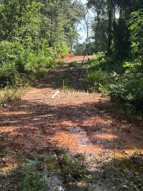 Vente Terrain à Montsinéry-Tonnegrande 0 pièce