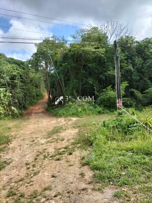 Vente Terrain à Montsinéry-Tonnegrande 0 pièce