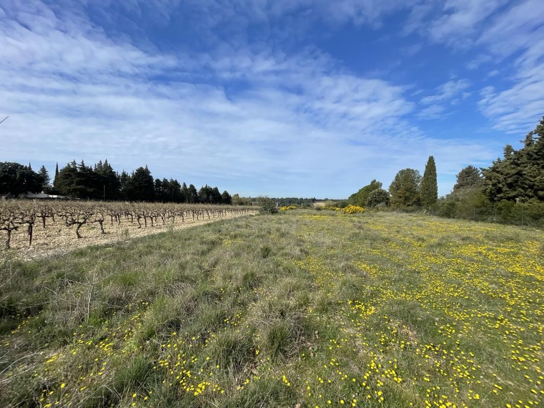 Vente Terrain à Châteauneuf-de-Gadagne 0 pièce