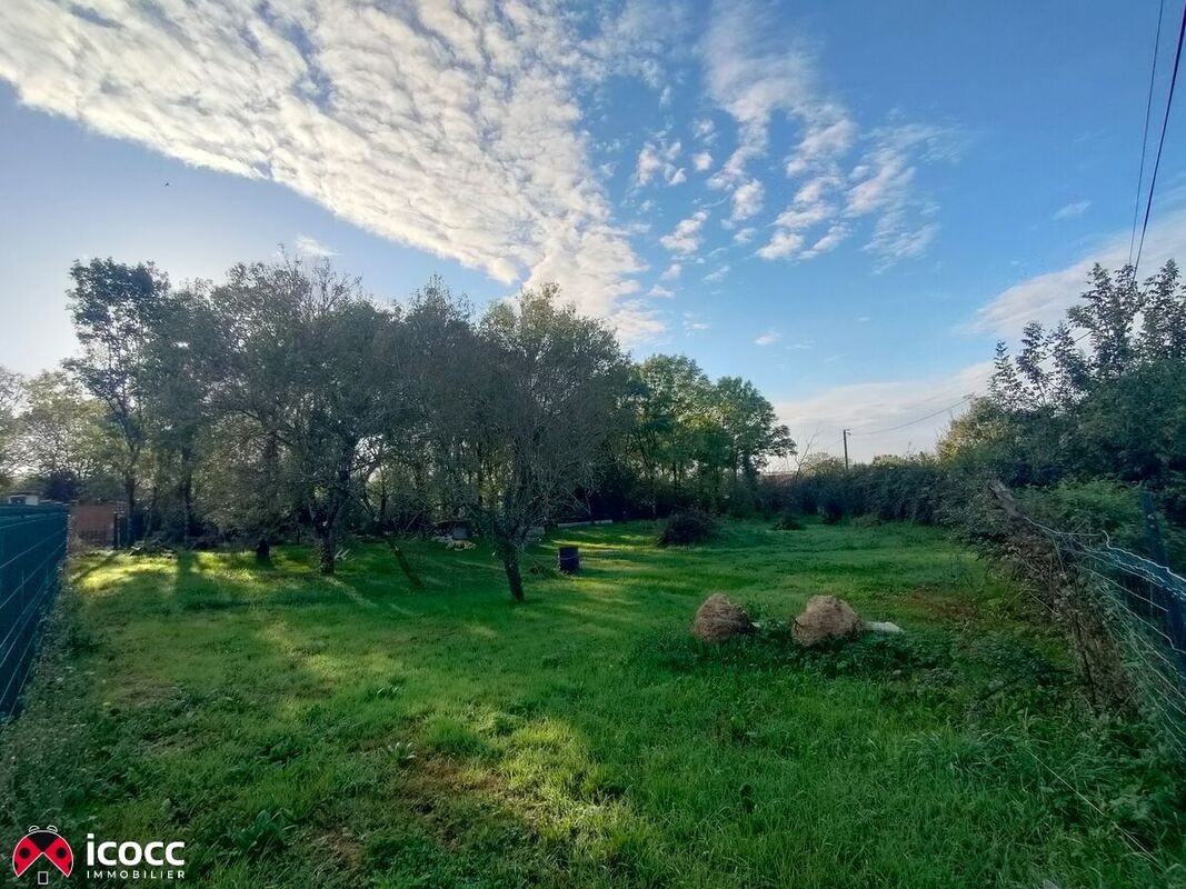 Vente Terrain à Mareuil-sur-Lay-Dissais 0 pièce