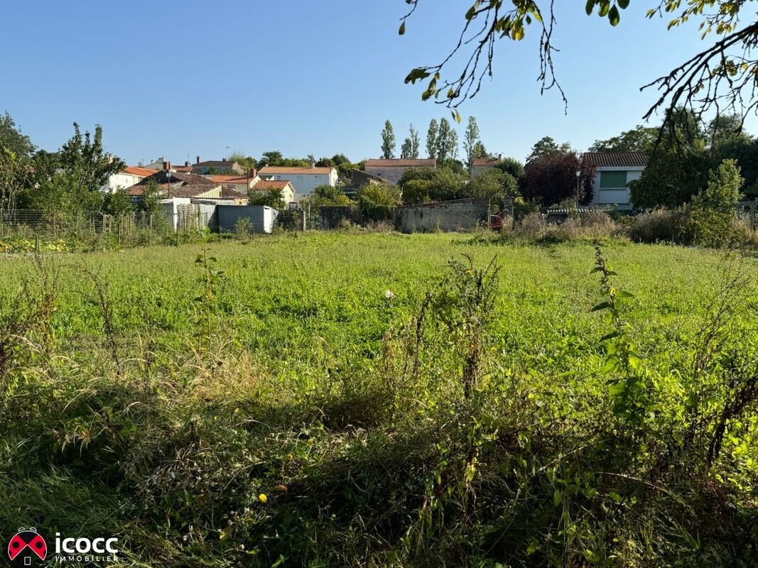 Vente Terrain à Sainte-Hermine 0 pièce