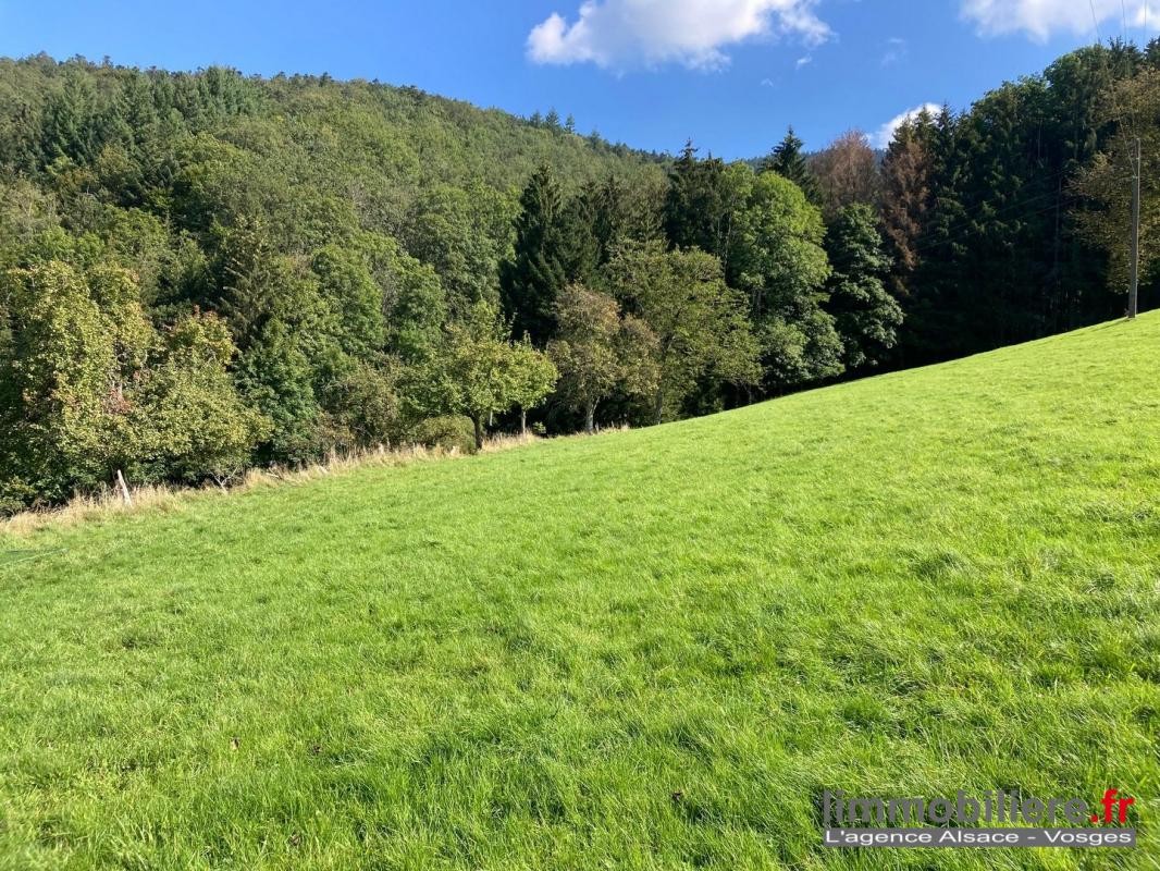 Vente Maison à Sainte-Marie-aux-Mines 4 pièces