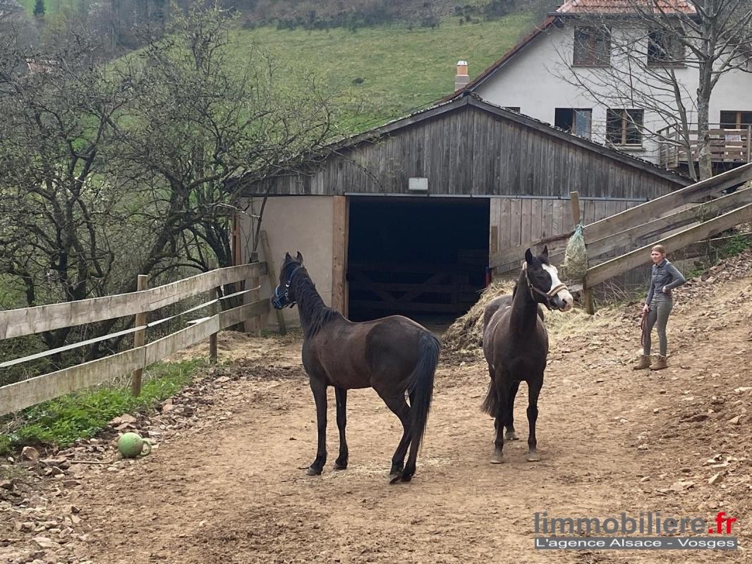 Vente Maison à Sainte-Marie-aux-Mines 15 pièces