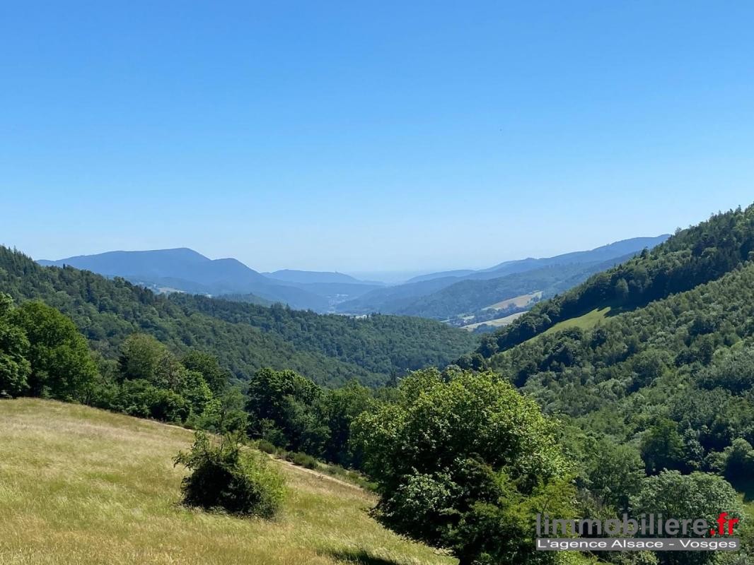 Vente Maison à Sainte-Marie-aux-Mines 15 pièces