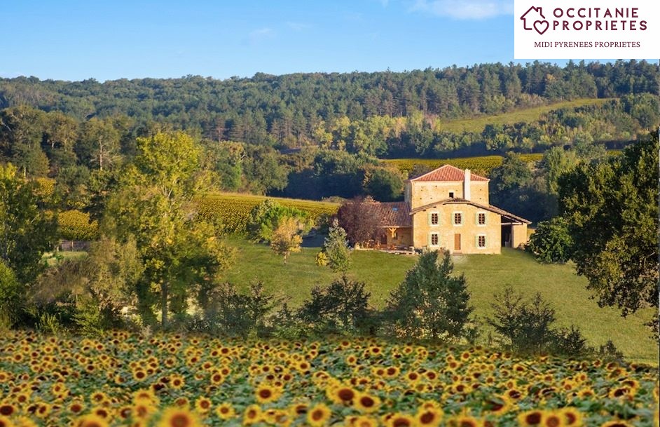 Vente Maison à Bassoues 12 pièces