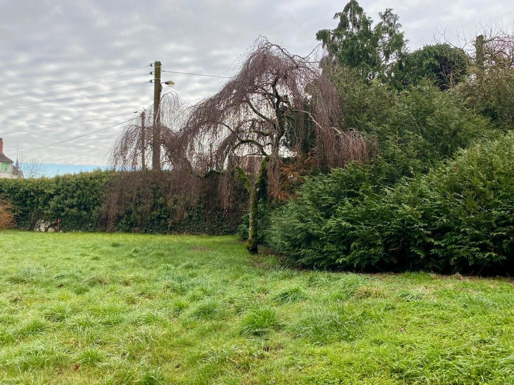 Vente Terrain à Angerville 0 pièce