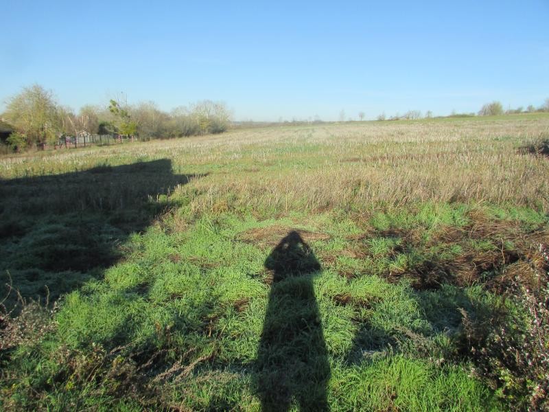 Vente Terrain à Cherisy 0 pièce