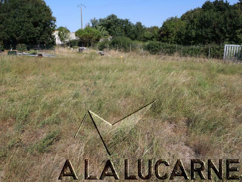 Vente Terrain à Saint-Georges-d'Oléron 0 pièce