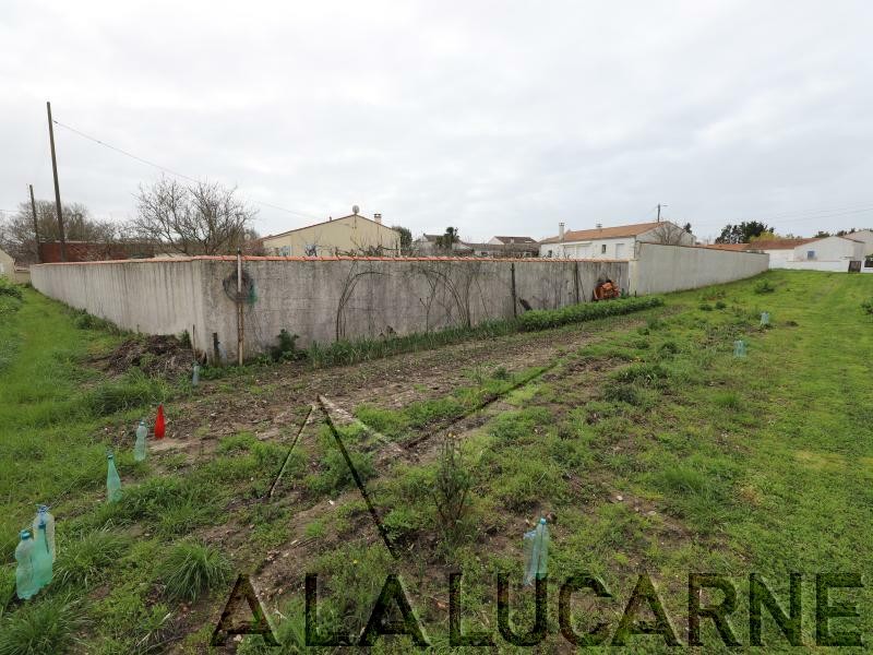 Vente Terrain à Saint-Georges-d'Oléron 0 pièce