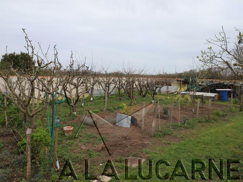 Vente Terrain à Saint-Georges-d'Oléron 0 pièce