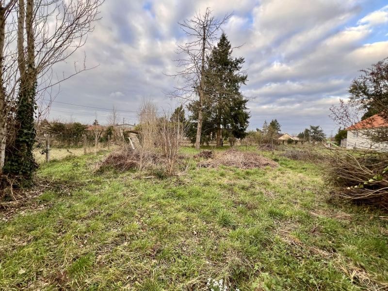 Vente Terrain à Châteauneuf-sur-Loire 0 pièce