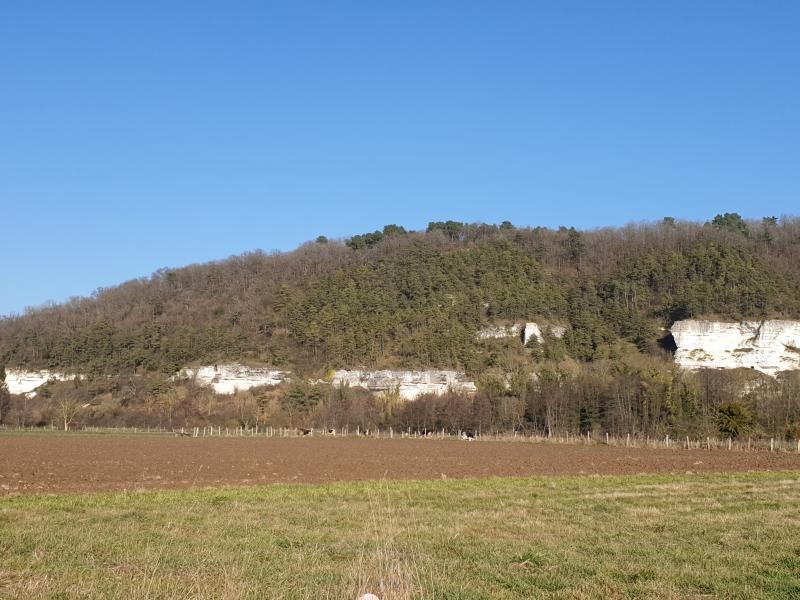 Vente Terrain à Brosville 0 pièce