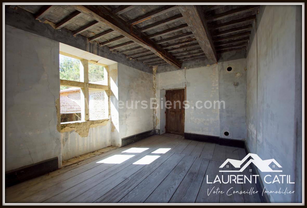 Vente Maison à Châteauneuf-de-Galaure 25 pièces