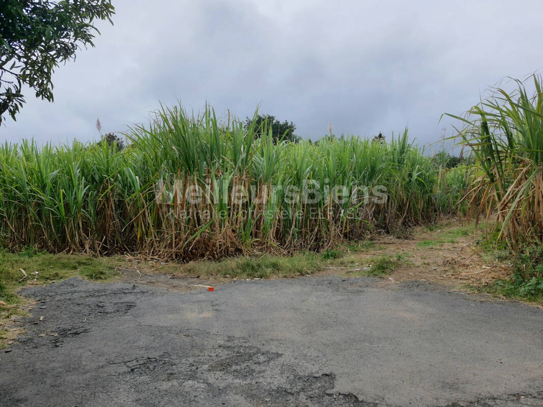 Vente Terrain à Saint-Joseph 0 pièce