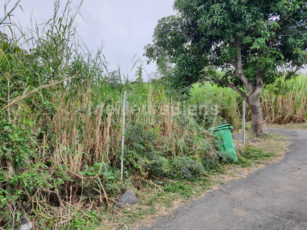 Vente Terrain à Saint-Joseph 0 pièce