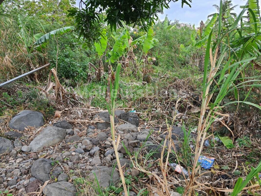 Vente Terrain à Saint-Joseph 0 pièce