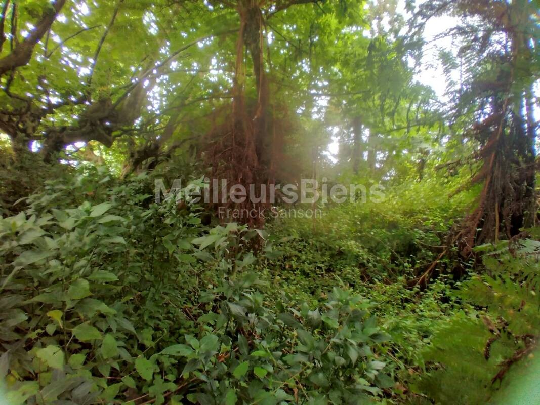 Vente Terrain à la Plaine-des-Palmistes 0 pièce