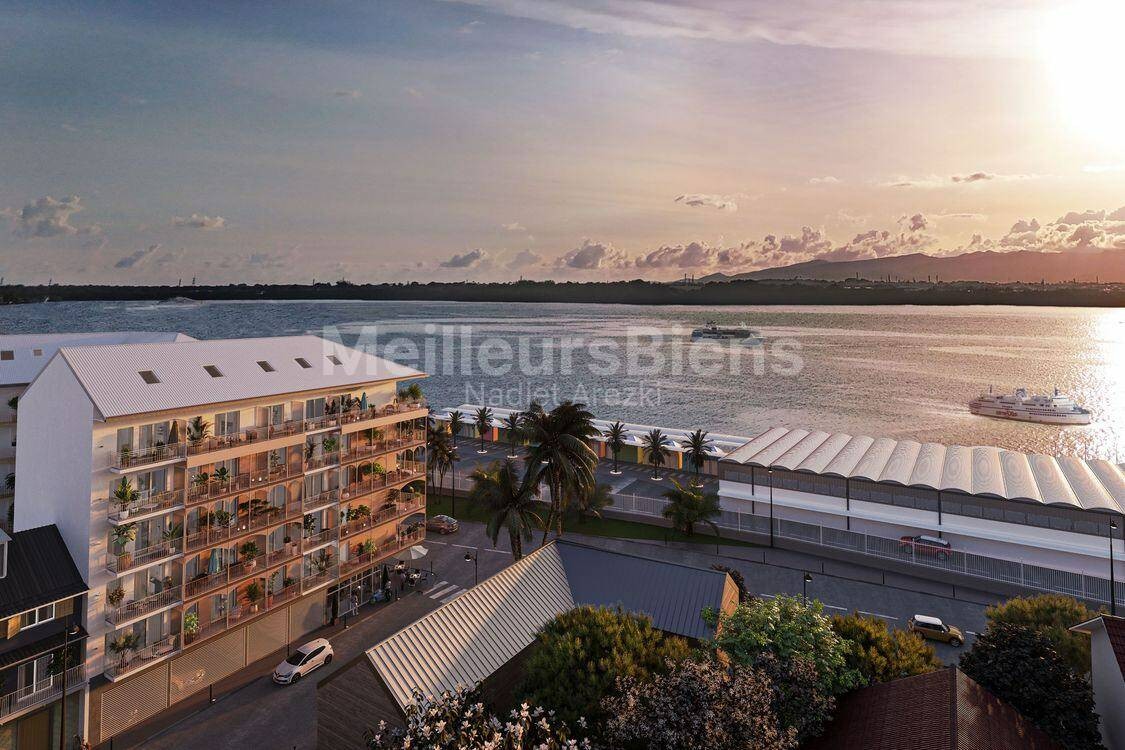 Vente Appartement à Pointe-à-Pitre 1 pièce