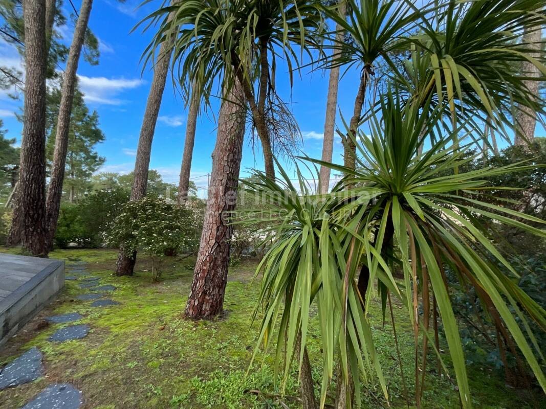 Vente Maison à Arcachon 6 pièces