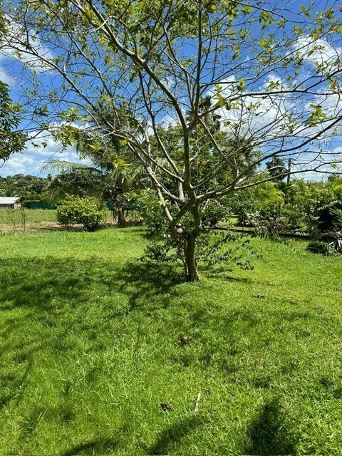 Vente Maison à Petit-Bourg 4 pièces