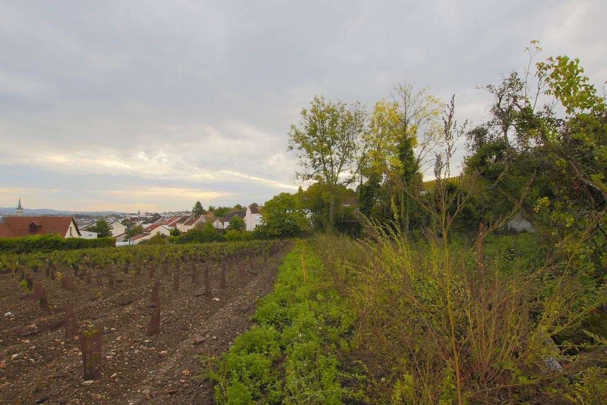 Vente Maison à Épernay 0 pièce