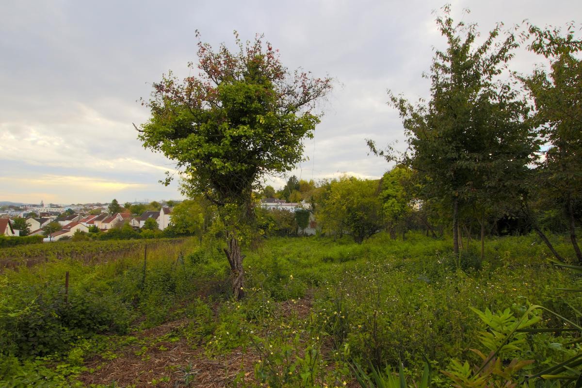 Vente Maison à Épernay 0 pièce