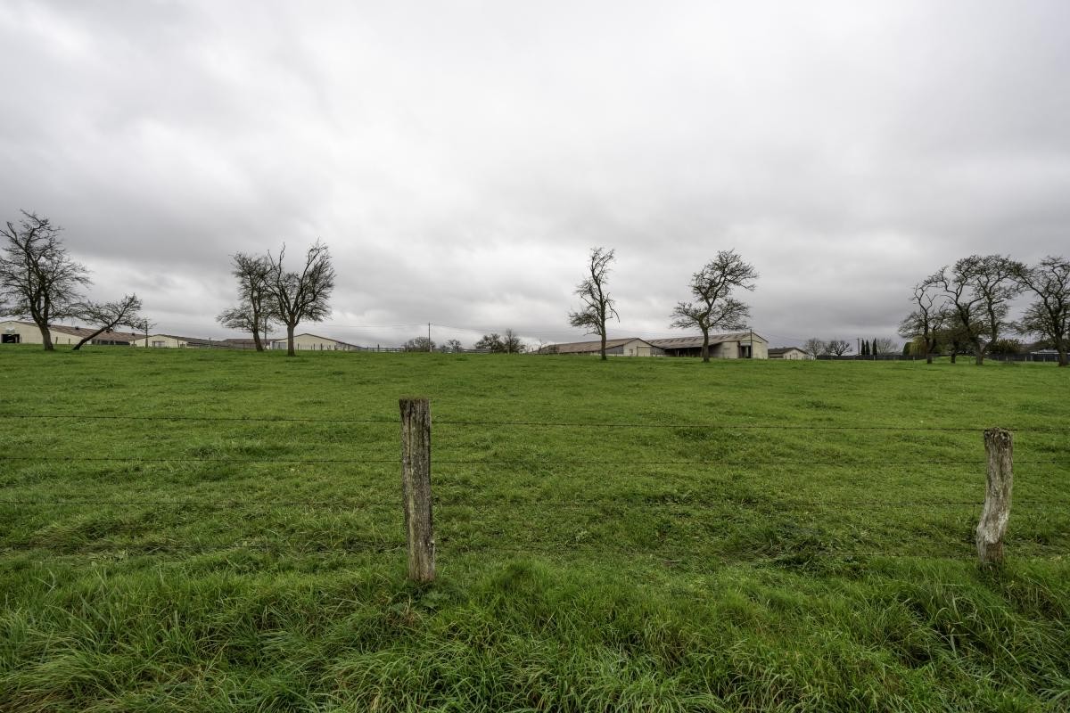 Vente Terrain à Contrexéville 0 pièce