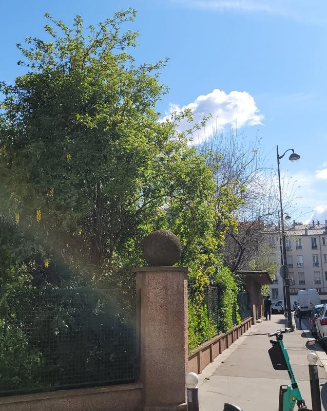 Vente Appartement à Paris Batignolles-Monceaux 17e arrondissement 1 pièce