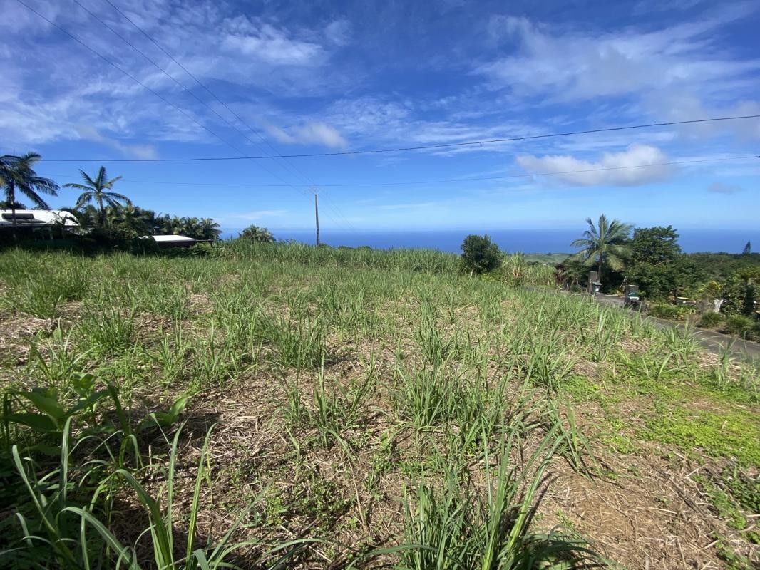 Vente Terrain à Saint-Joseph 0 pièce