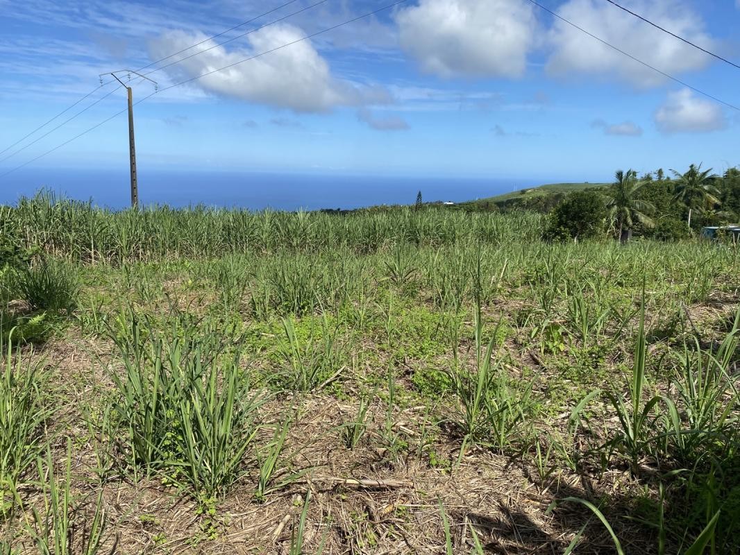 Vente Terrain à Saint-Joseph 0 pièce