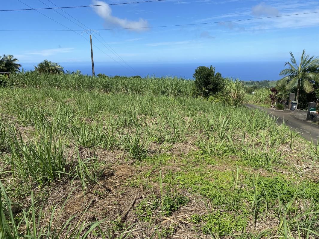 Vente Terrain à Saint-Joseph 0 pièce