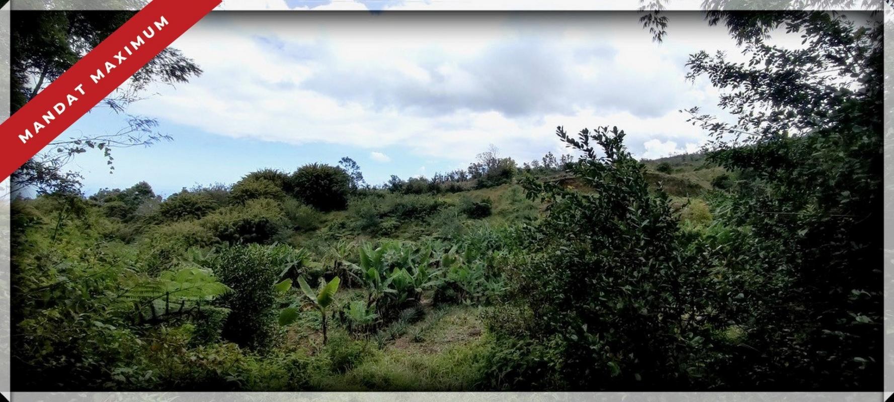 Vente Terrain à Saint-Joseph 0 pièce