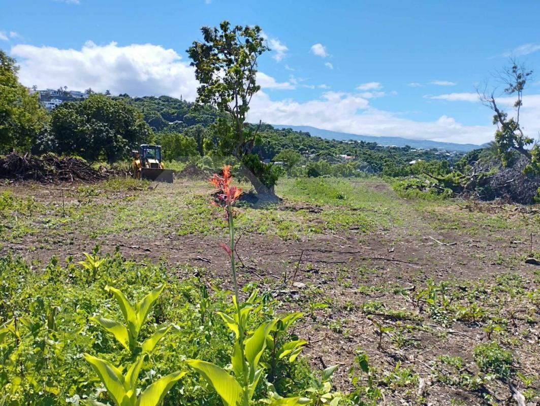 Vente Terrain à Saint-Louis 0 pièce