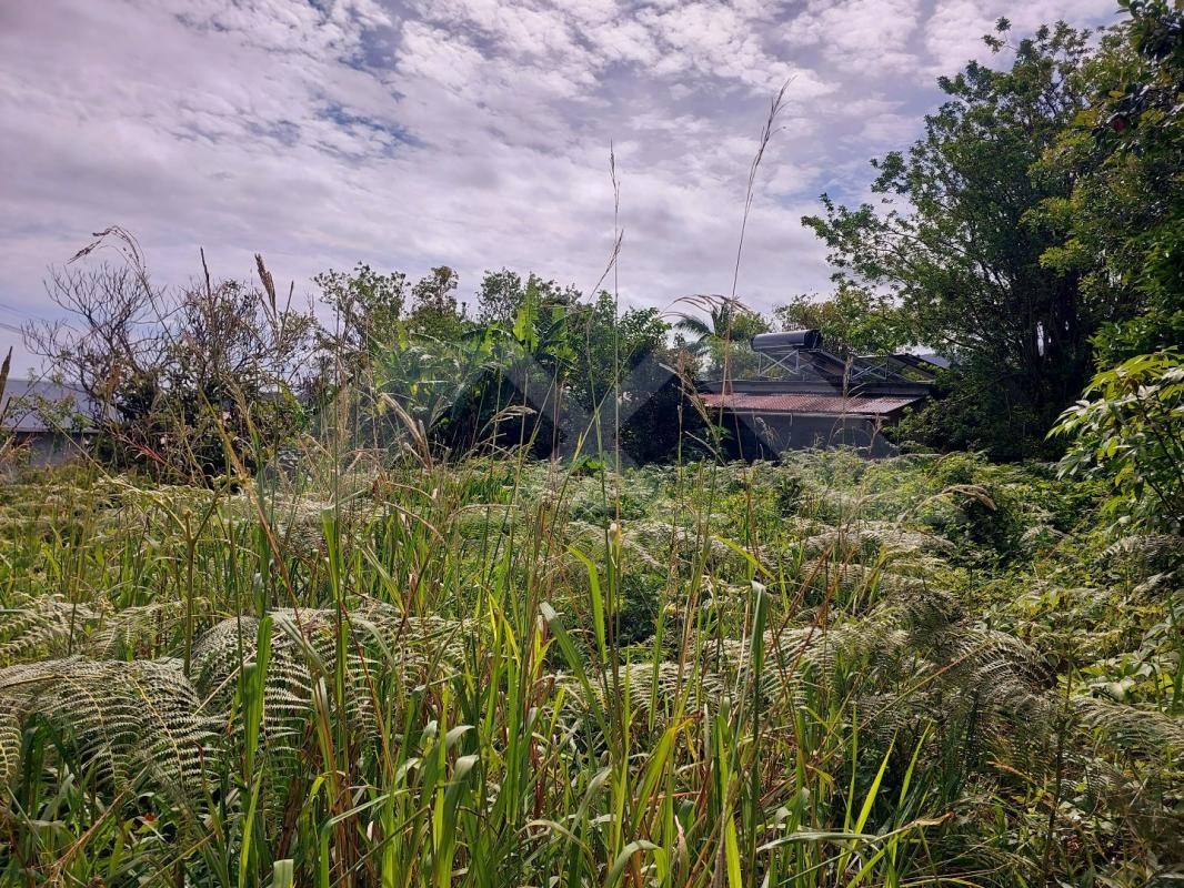 Vente Terrain à Saint-Joseph 0 pièce