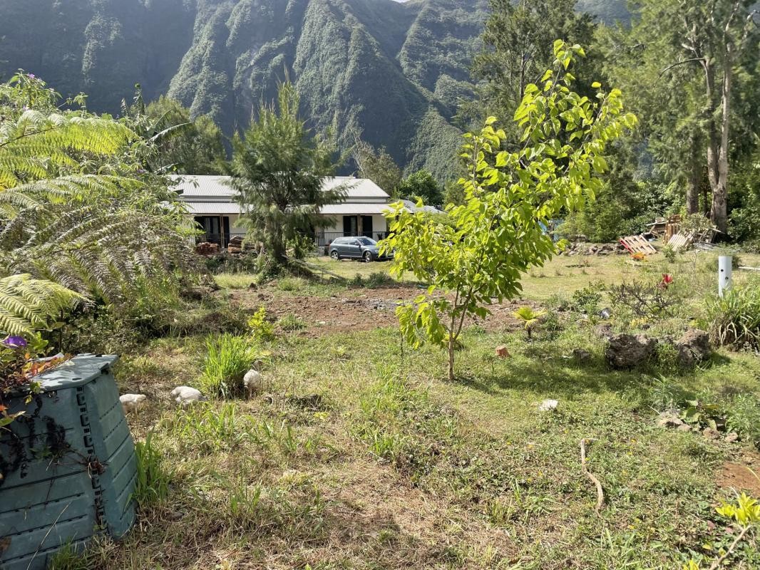 Vente Terrain à la Plaine-des-Palmistes 0 pièce