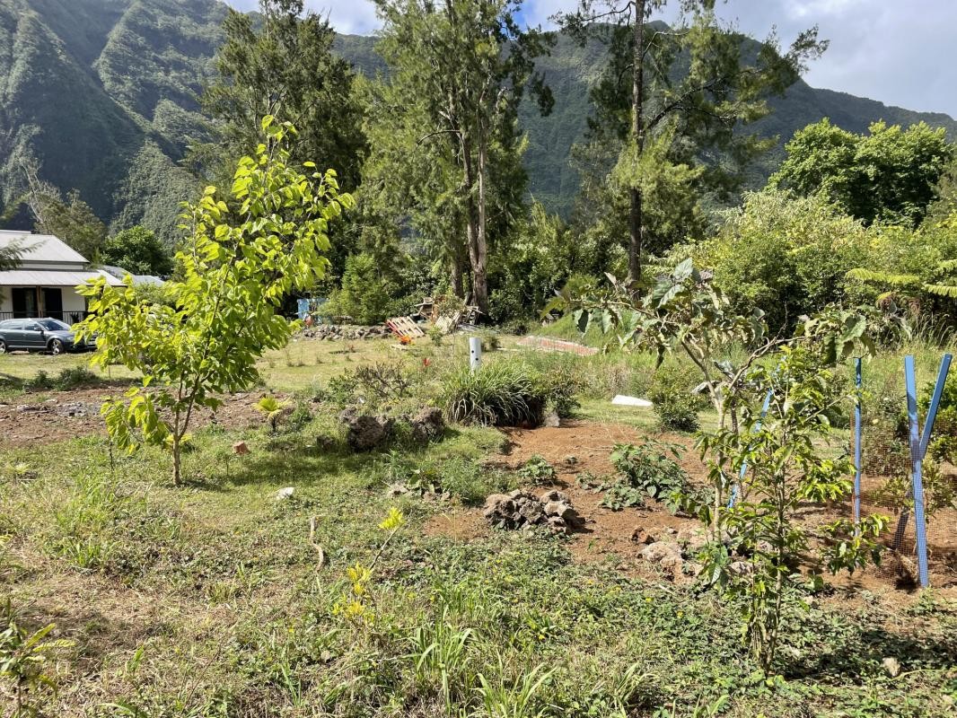 Vente Terrain à la Plaine-des-Palmistes 0 pièce