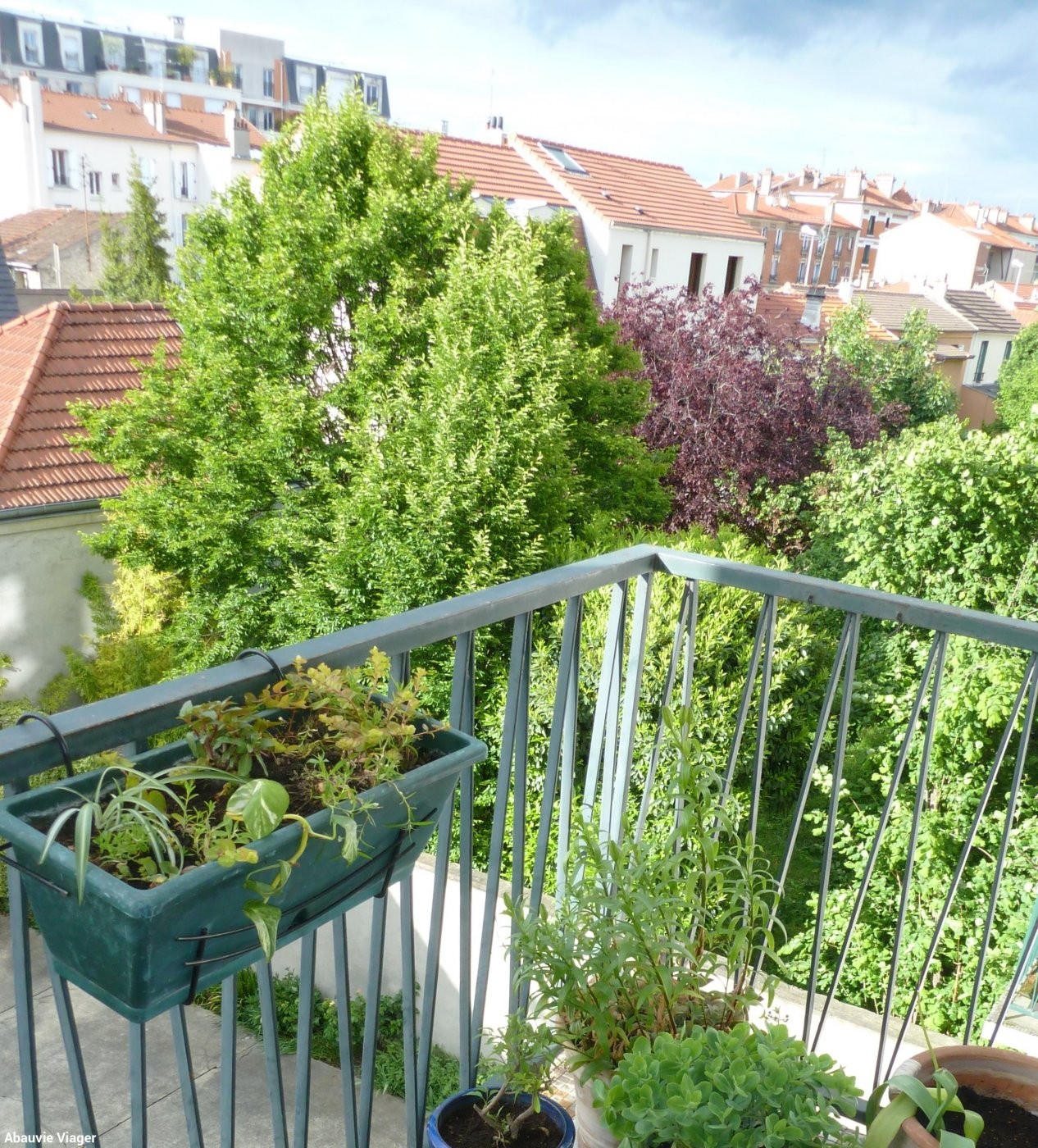 Viager Appartement à Alfortville 2 pièces