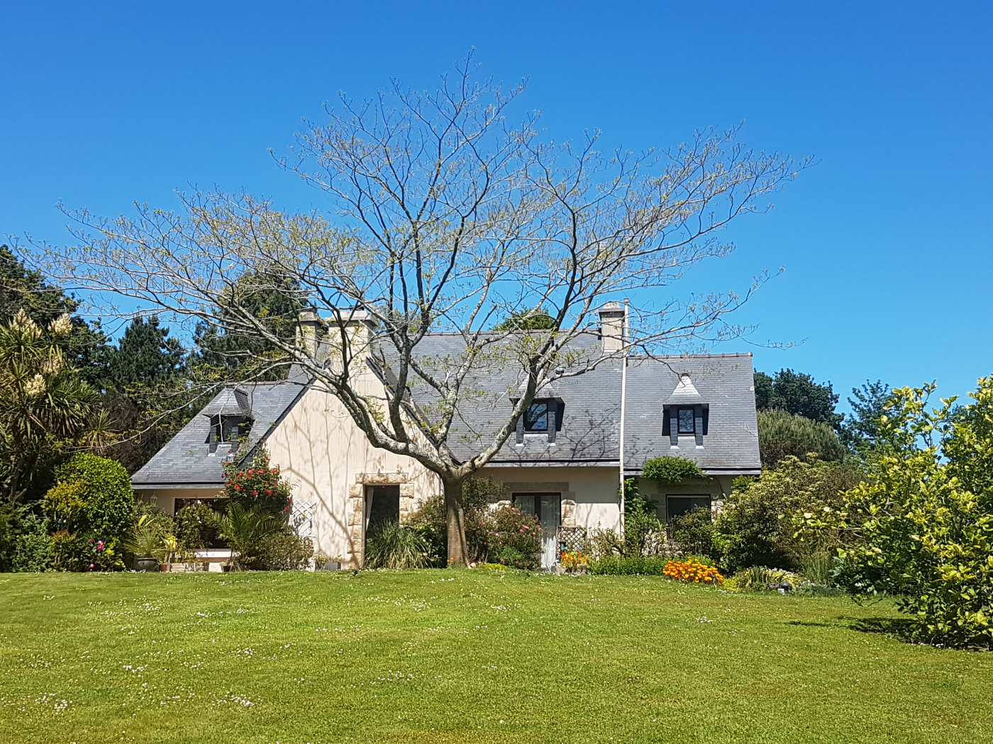 Viager Maison à la Forêt-Fouesnant 0 pièce