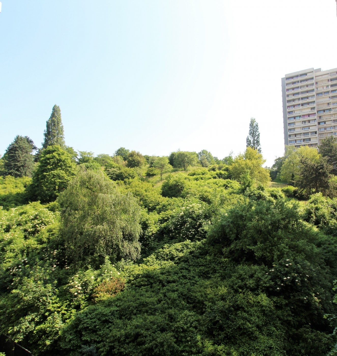 Vente Appartement à Bagnolet 1 pièce