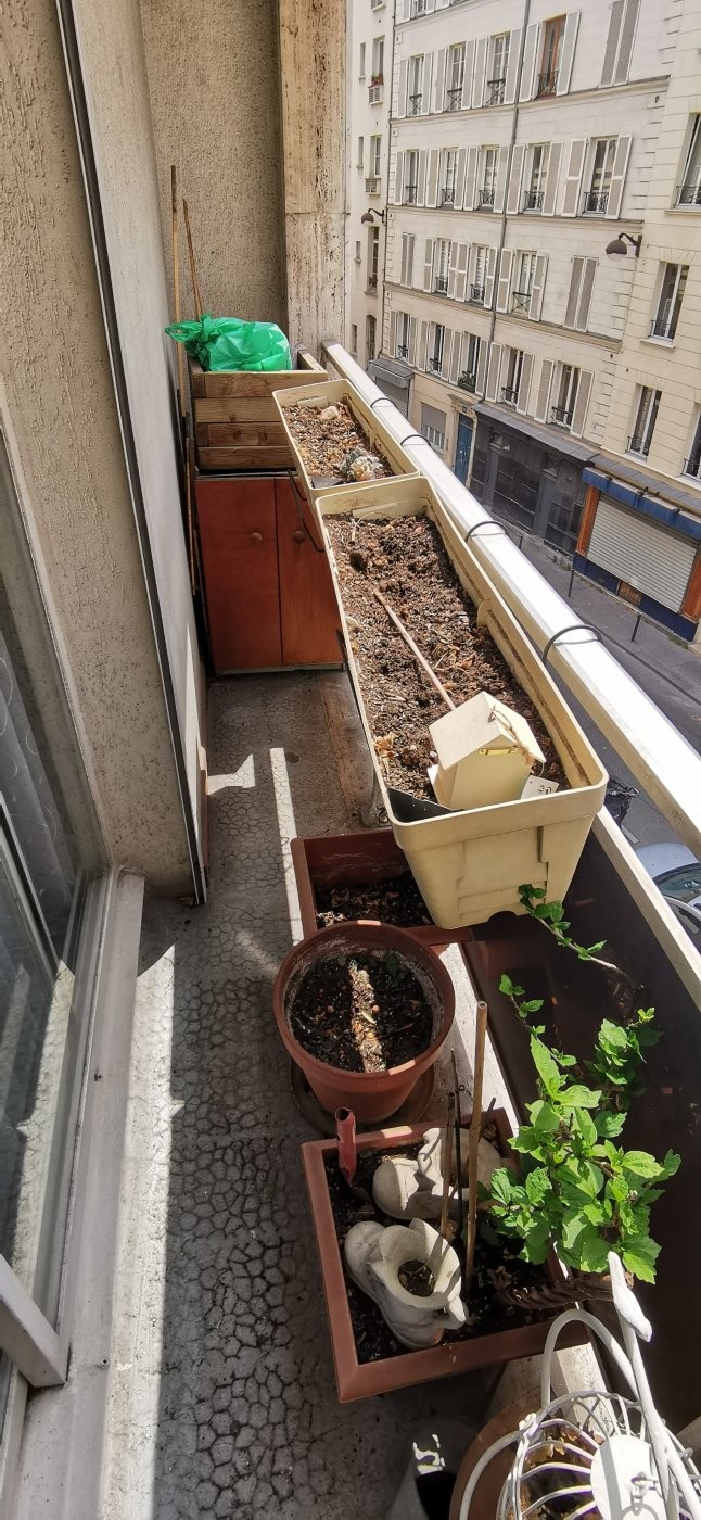 Viager Appartement à Paris Popincourt 11e arrondissement 4 pièces