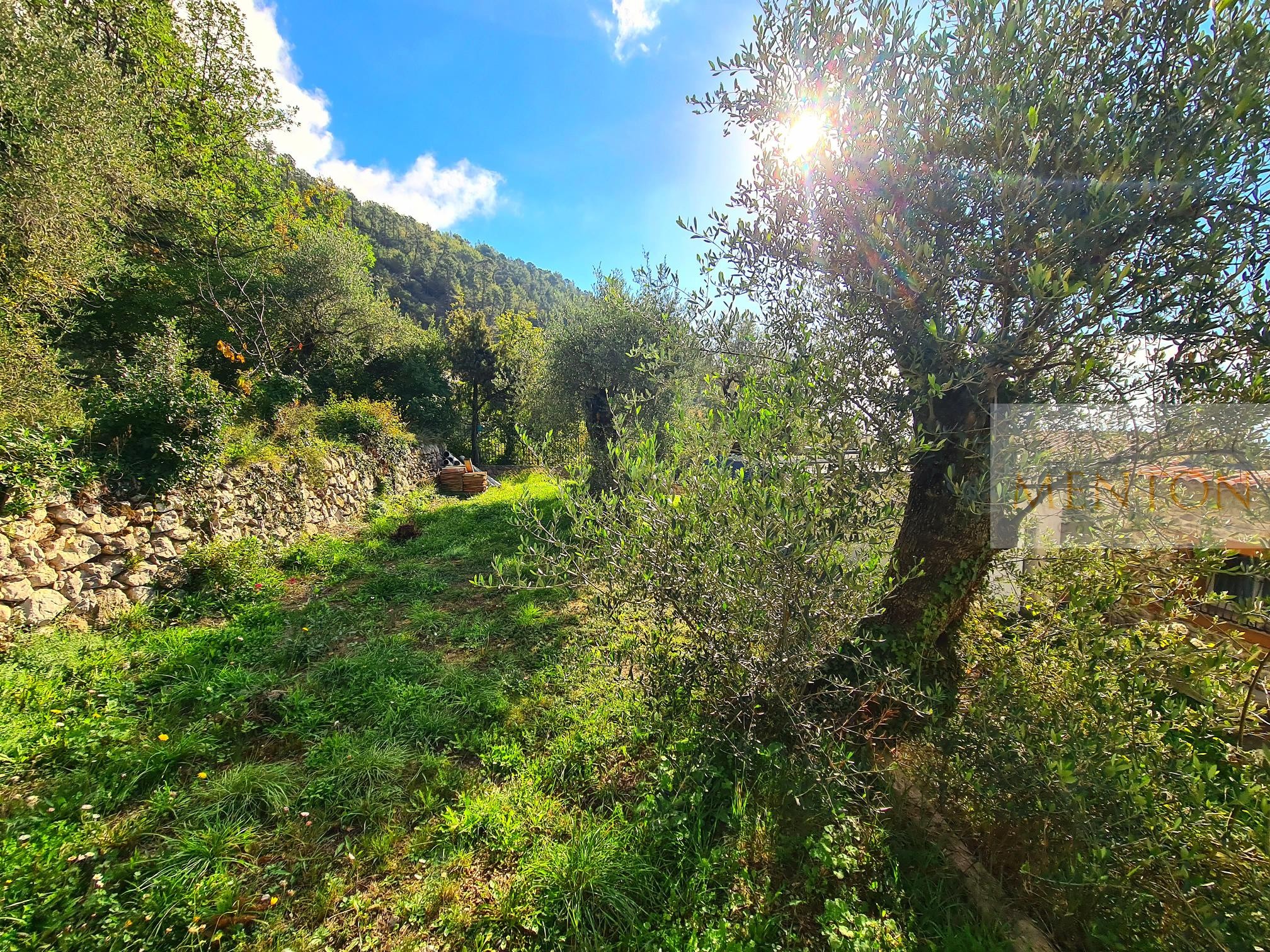 Vente Maison à Menton 3 pièces