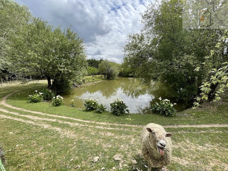 Vente Maison à Pugnac 10 pièces