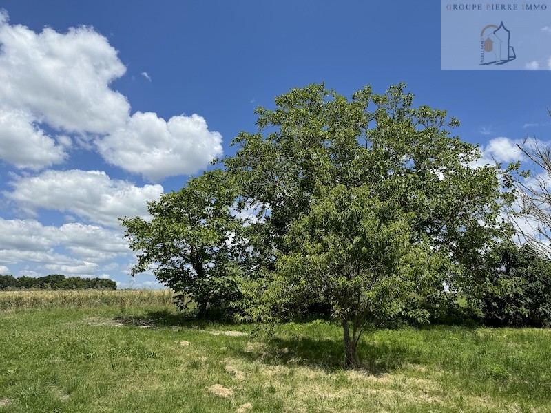 Vente Maison à Chalais 3 pièces