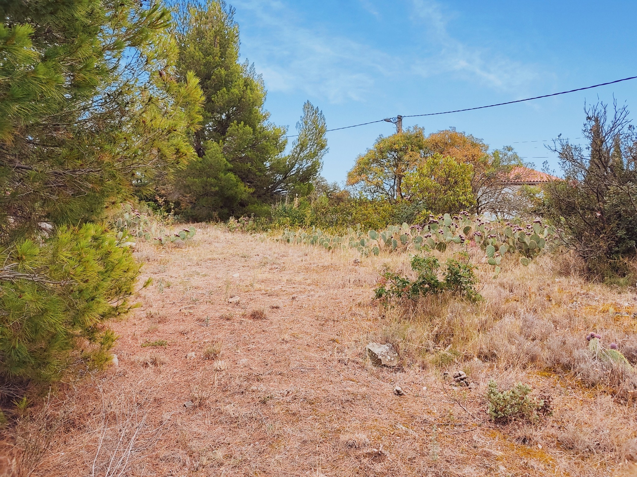 Vente Terrain à Félines-Minervois 1 pièce