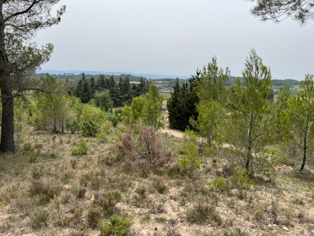 Vente Terrain à Félines-Minervois 0 pièce