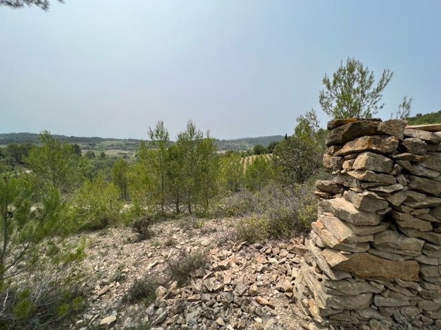 Vente Terrain à Félines-Minervois 0 pièce